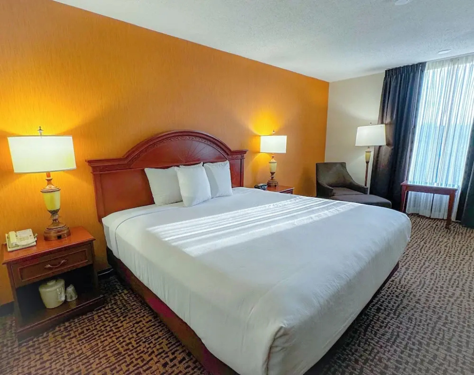 Wingate by Wyndham St. Louis/Fenton Route 66 - Chambres