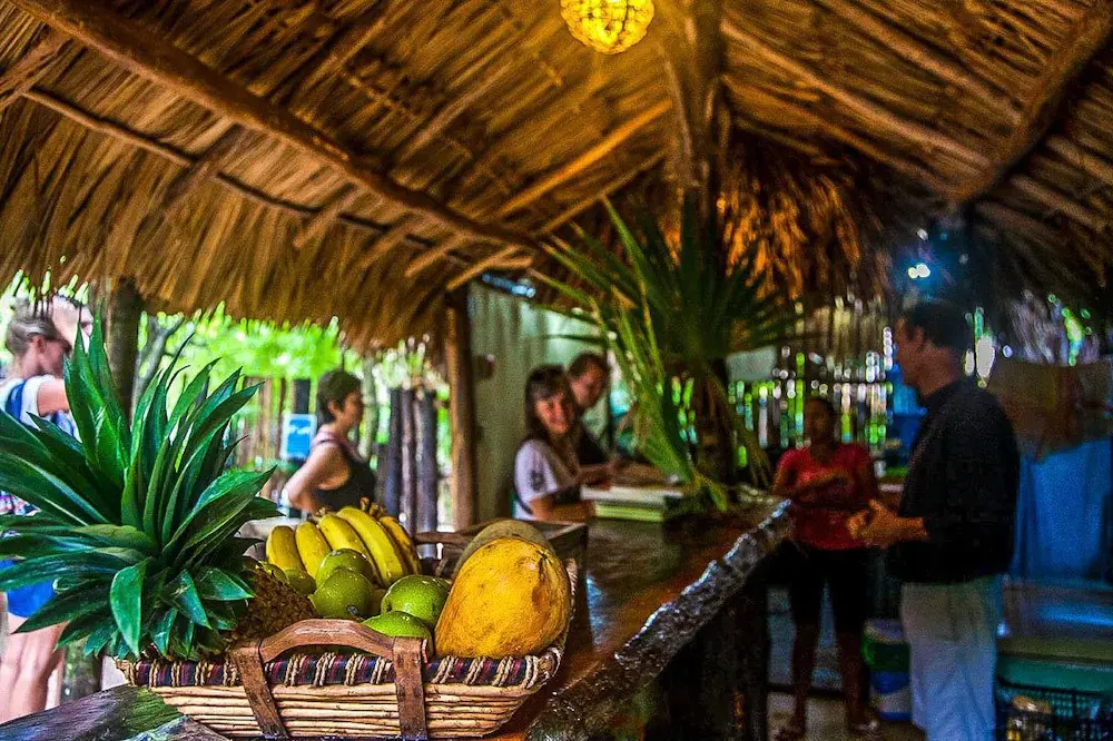 Food & Beverage