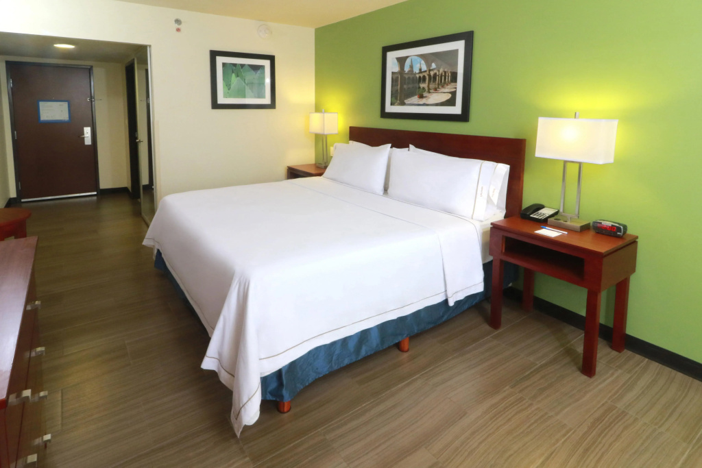 Holiday Inn Express Guadalajara Aeropuerto by IHG - Général