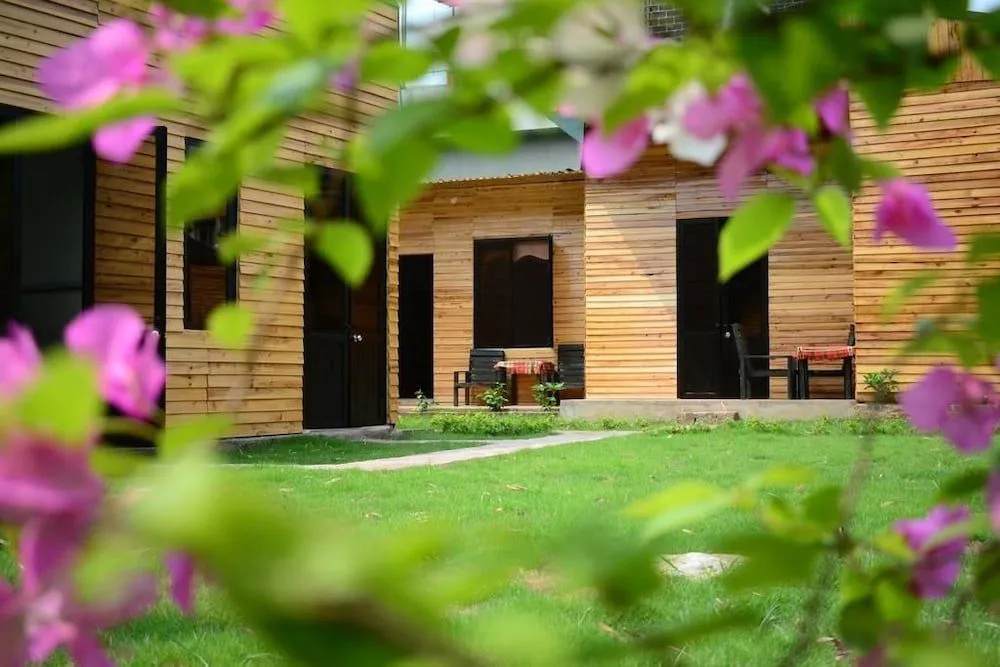 The Art - Golden Jungle House