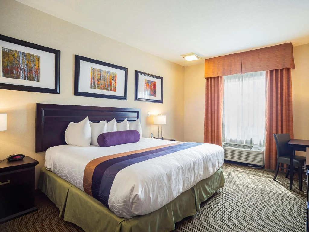 Standard room