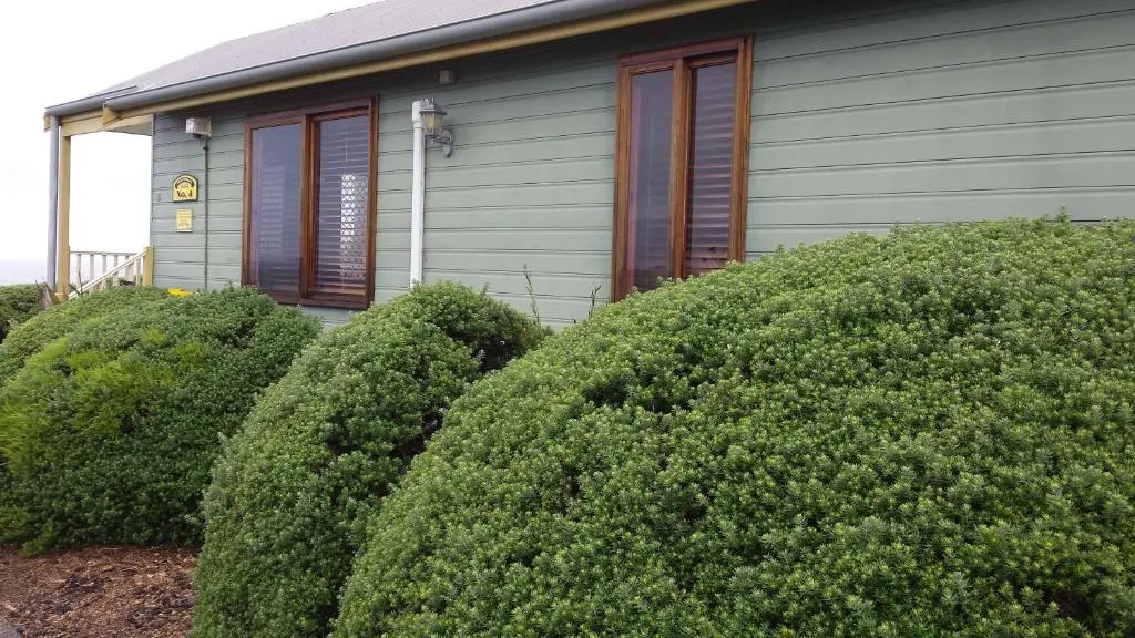 Kiama Harbour Cabins - Chambres