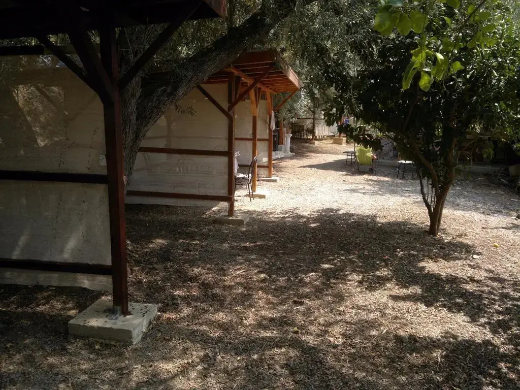 Michelangelo House Holiday