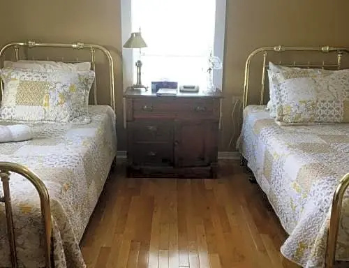 Deluxe Double room (twin beds)