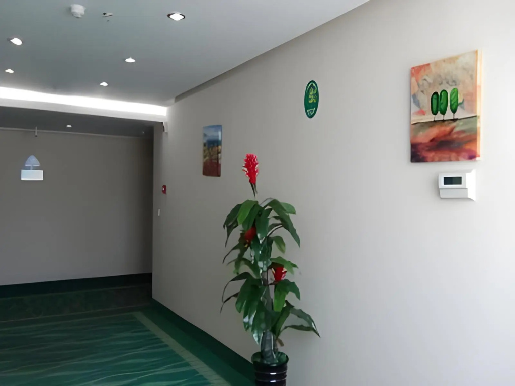 GreenTree Inn Tianjin Wuqing Distric Bohai Market - Général