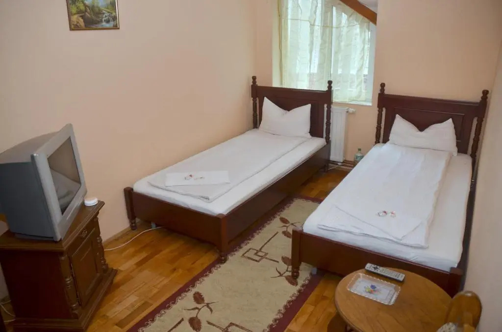 Pensiunea La Palaguta - Chambres