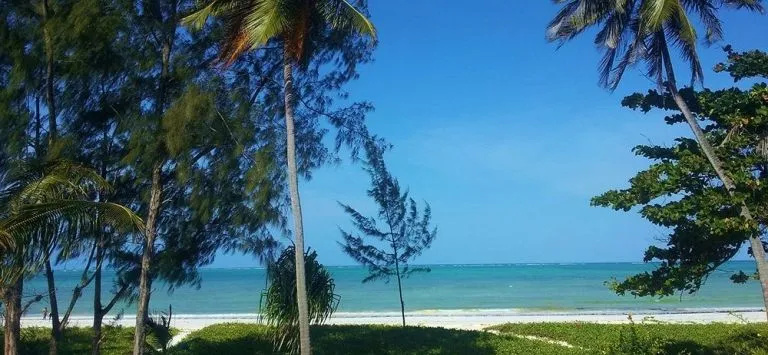 Beach & Waterfront