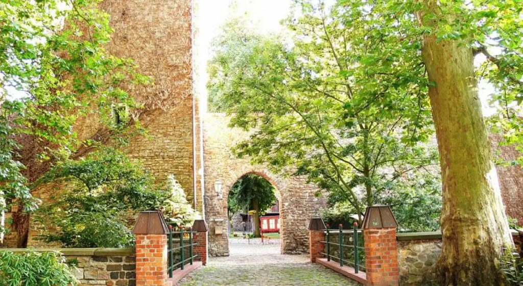 Wasserburg Zu Gommern - Général