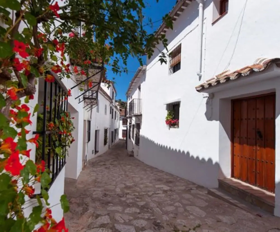 103710 - Apartment in Grazalema