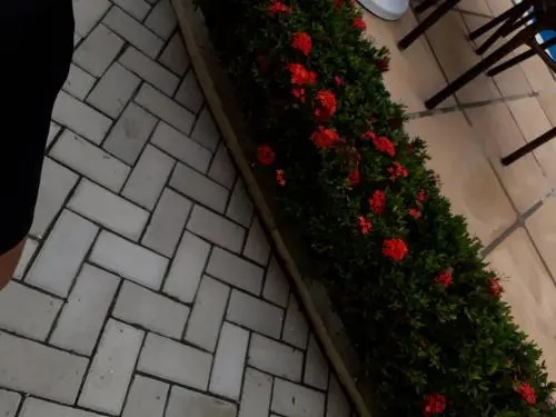 Balcony & Terrace