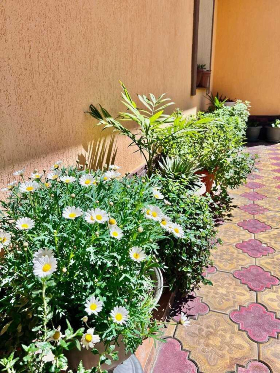 Hotel photo 48