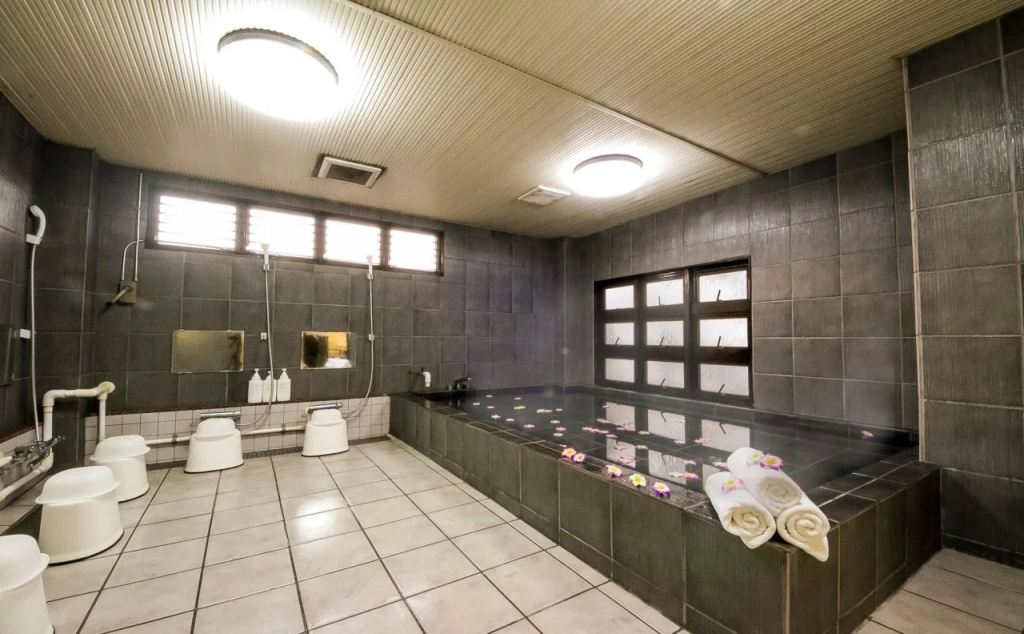 Rembrandt Inn Kazusa - Général