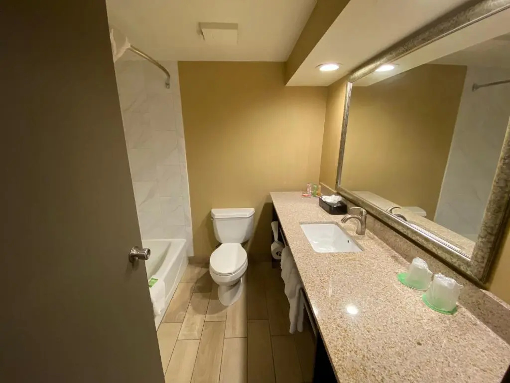 Wyndham Garden Ann Arbor - Chambres