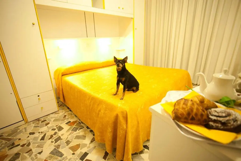 Hotel Medusa - Chambres