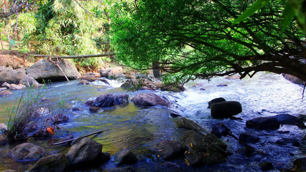 Fab Valley Homestay
