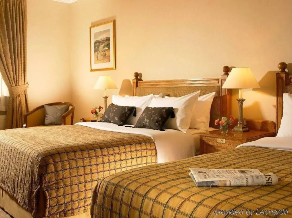 Castletroy Park Hotel - Général