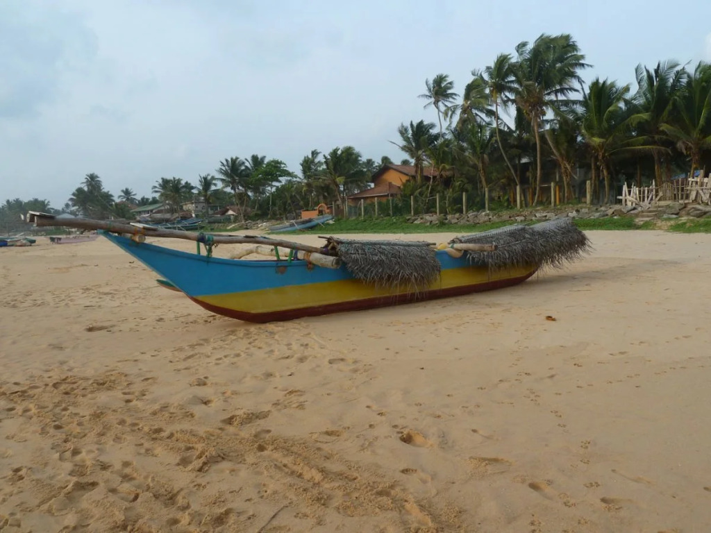 Sea Shine - фото 11