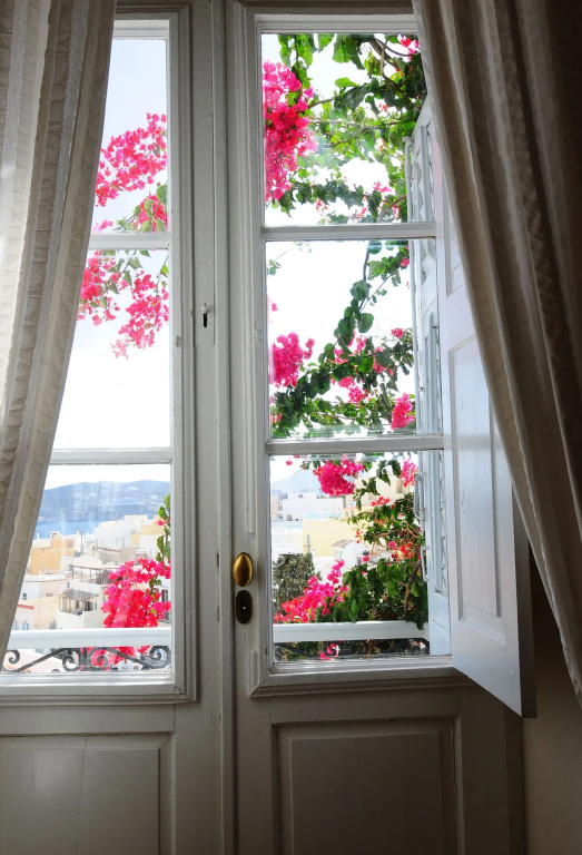 Balcony & Terrace