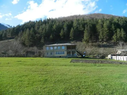 alex house
