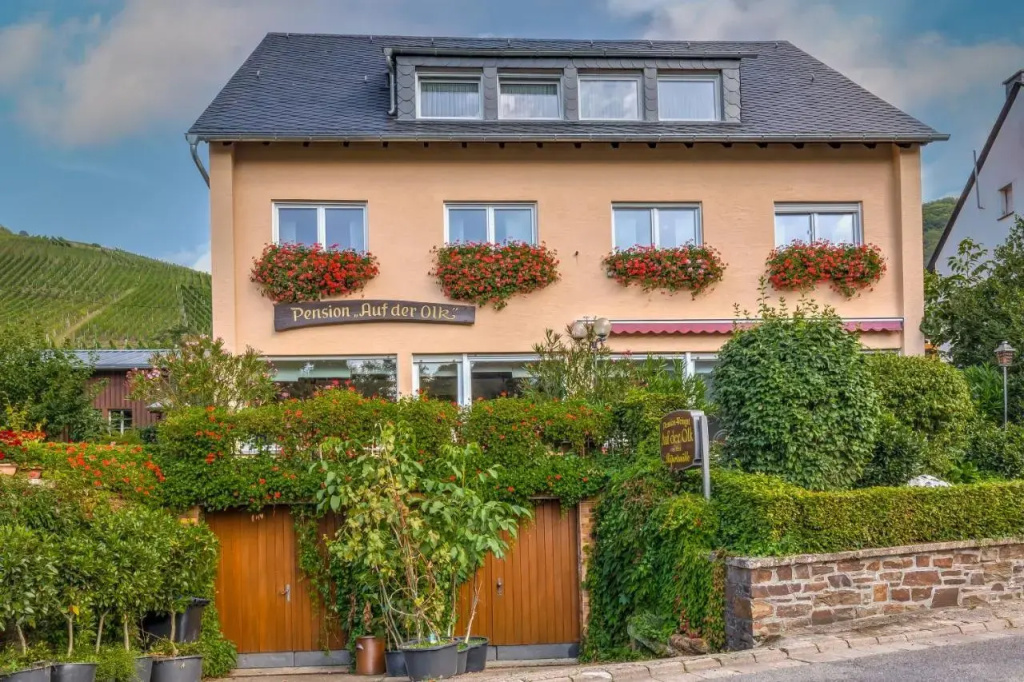 Pension Auf der Olk mit Mühle