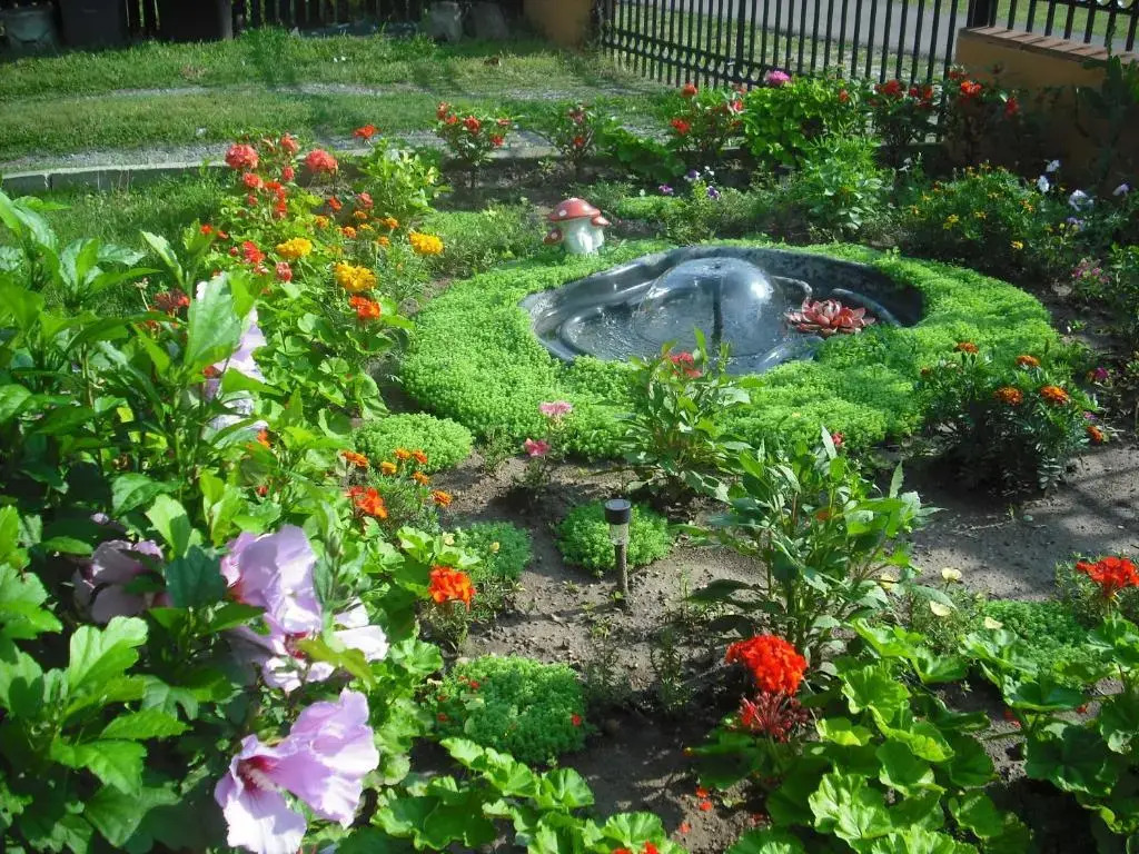 Casa Orhideea - фото 7