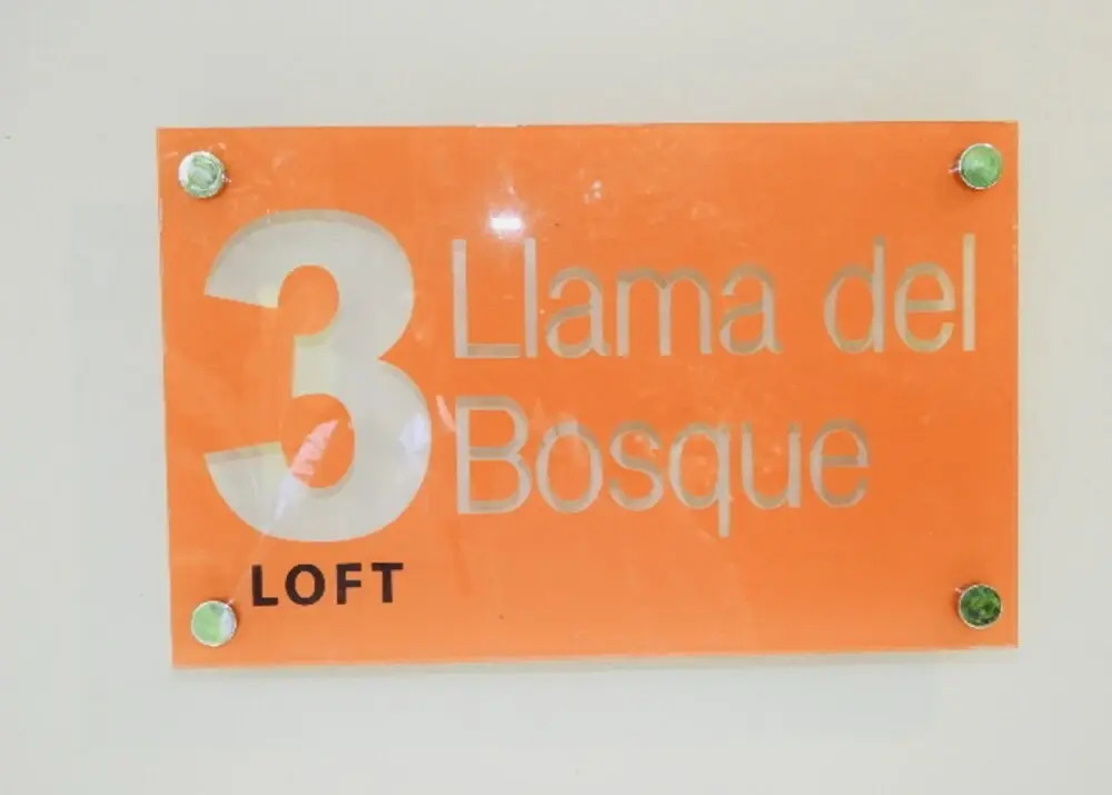 Relaxing Sound Of River Birds Squirrels