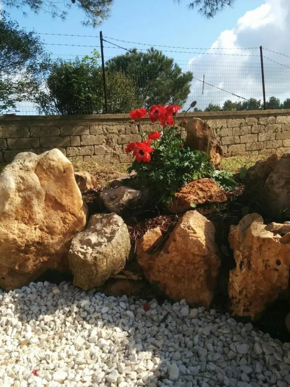 Hotel photo 36