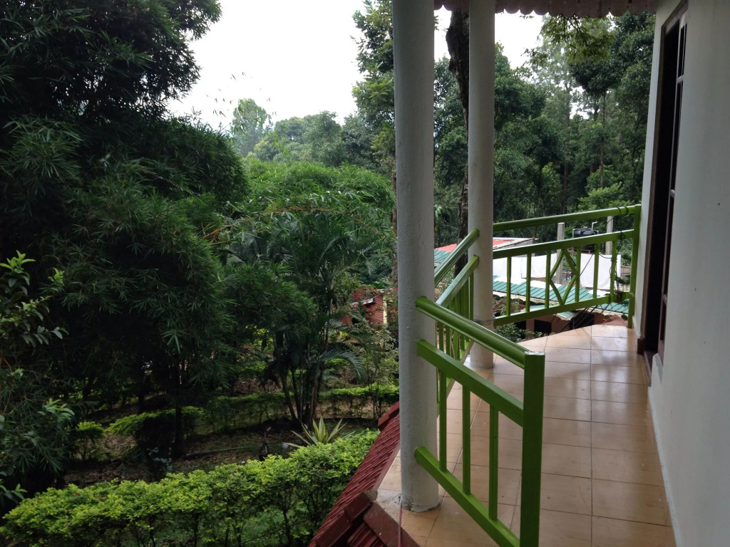 Balcony & Terrace