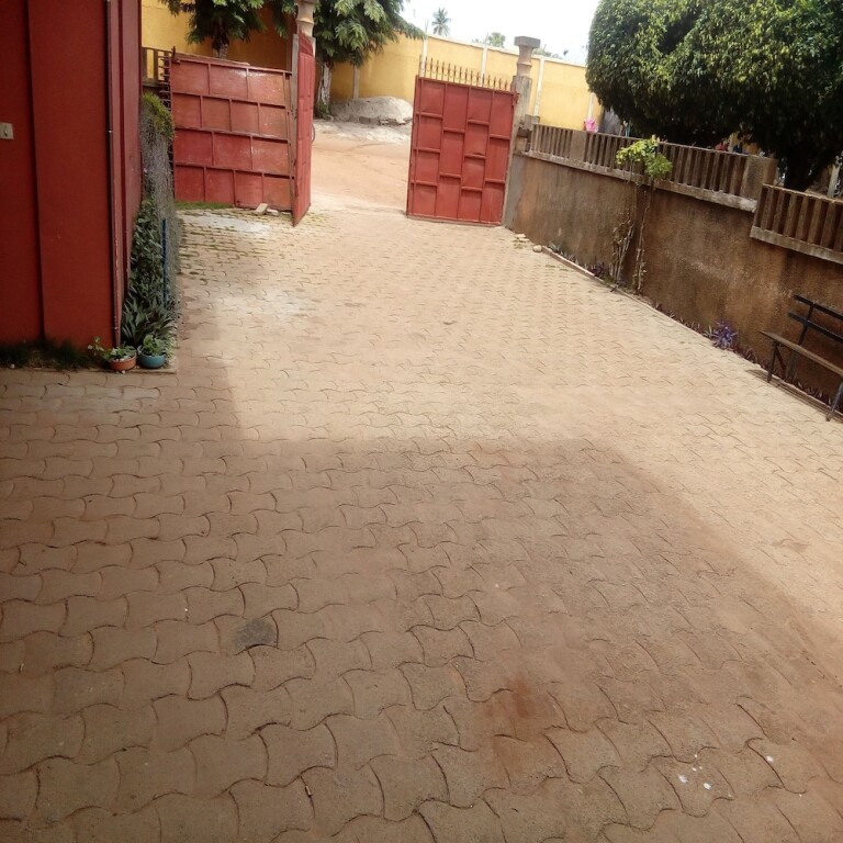 Image 12