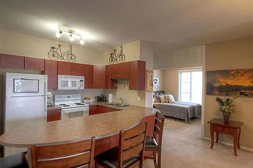 Pinnacle Pointe Resort by kelownacondorentals - фото 20