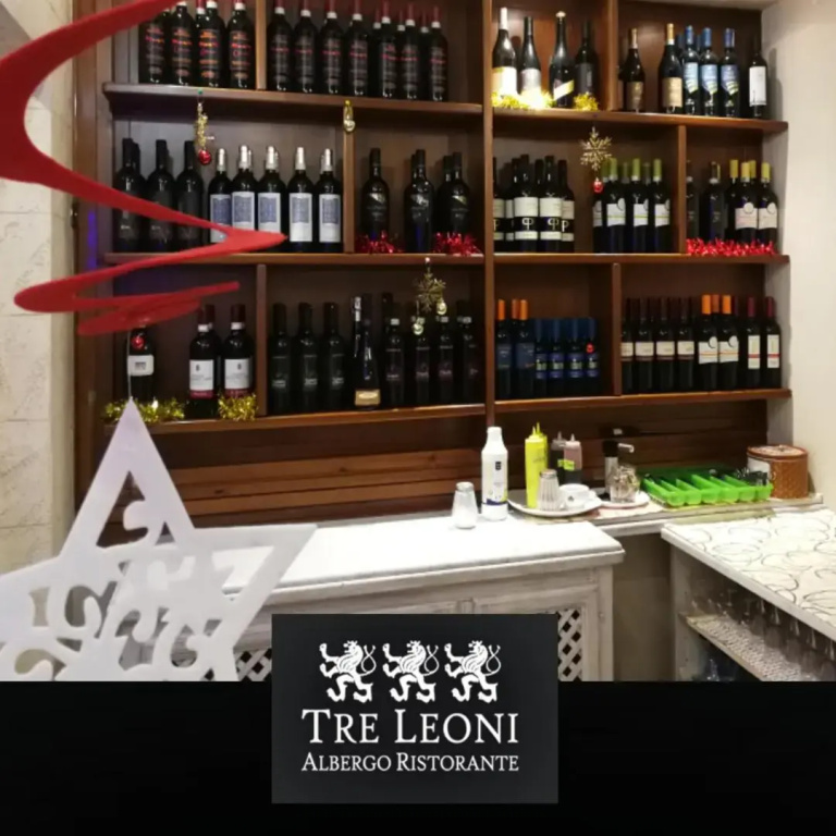 Hotel Ristorante Tre Leoni - Général