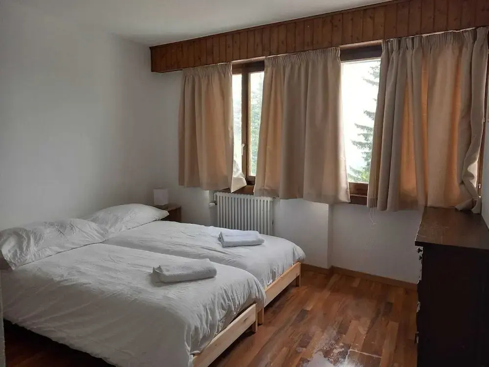 Classic Double room with mountain view (twin beds)