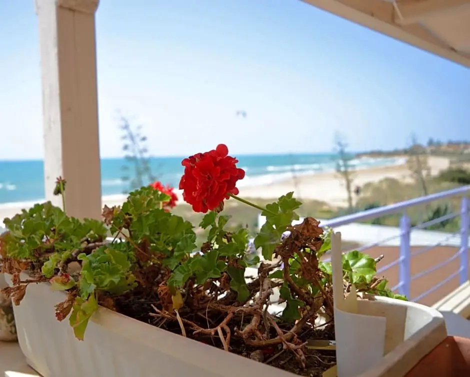 Hotel Mar & Sol - Chambres