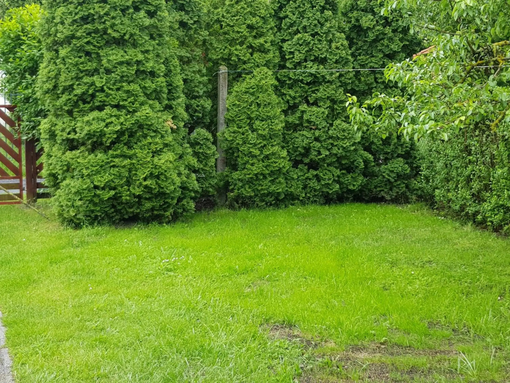 Tavasz apartman