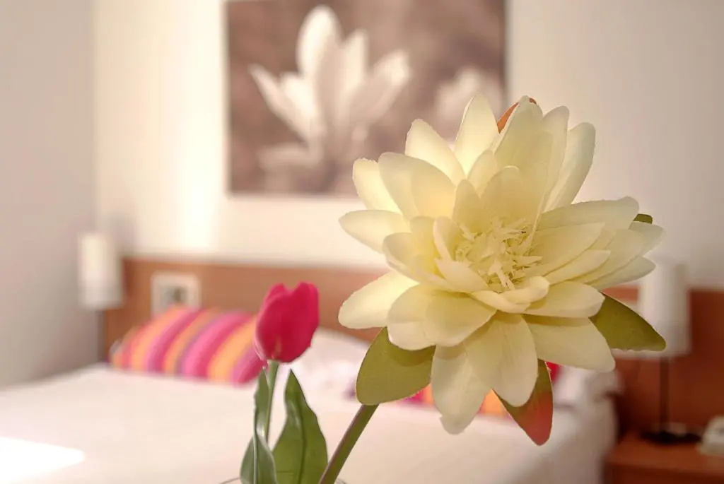 Hotel Elite - Chambres
