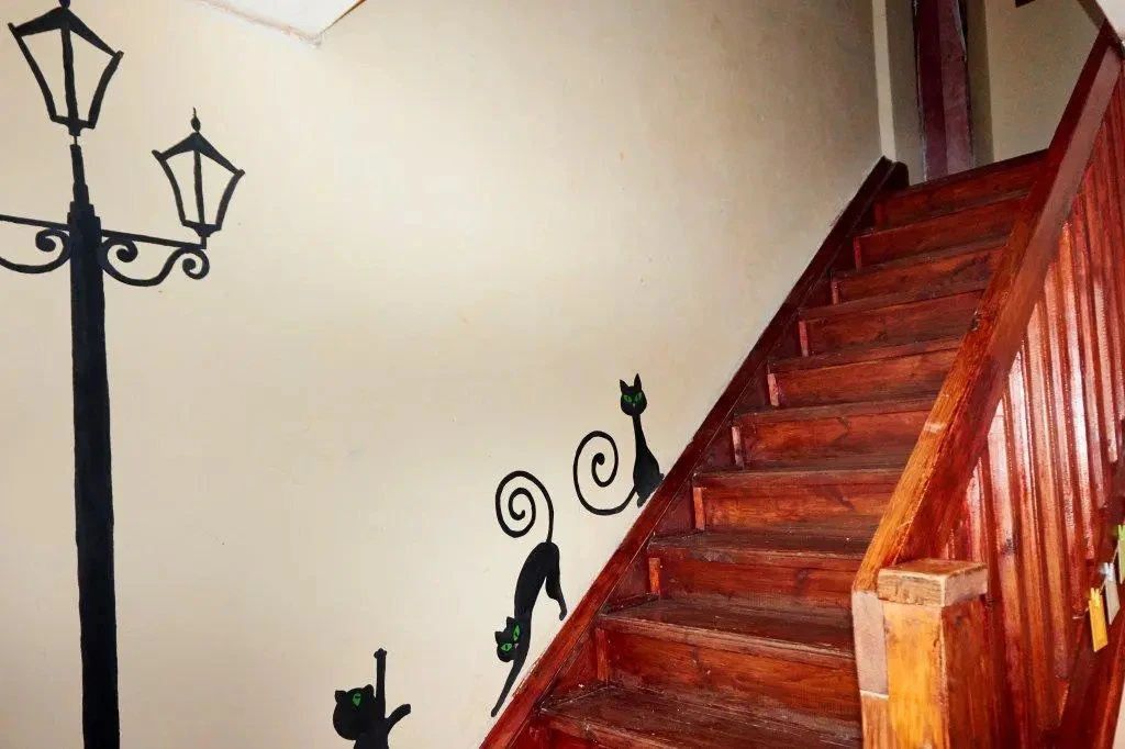 V&N Hostel — 5