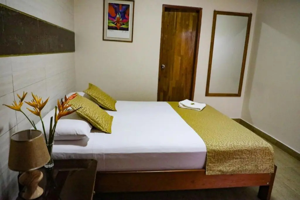 Standard Double room (full double bed)