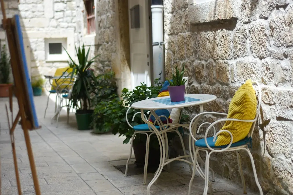 Tragos Lemon Tree - Général