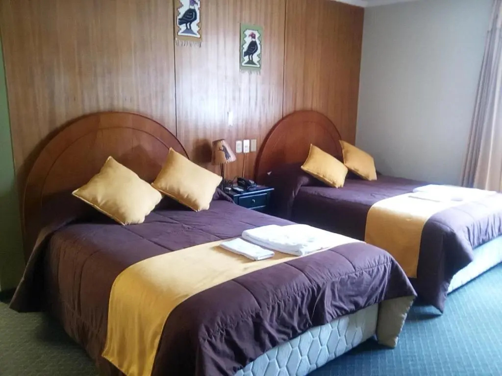 Standard Double room (twin beds)