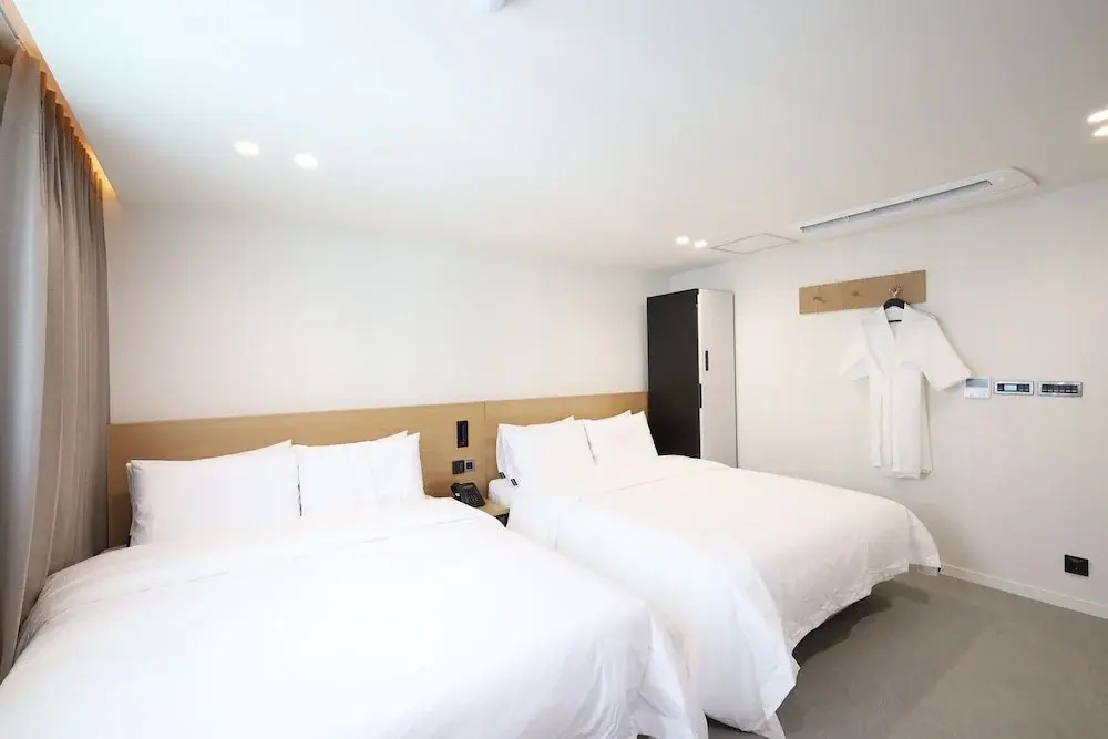Deluxe Double room (twin beds)