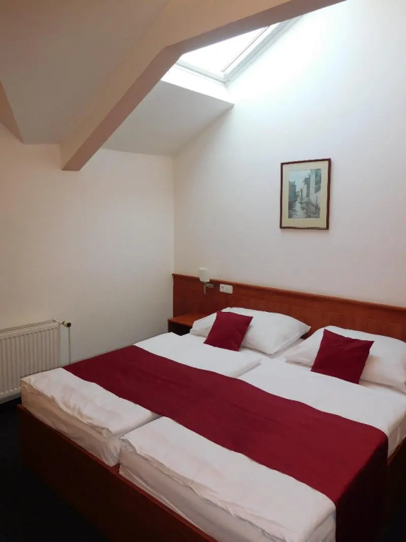 Hotel Beranek Prague - Chambres