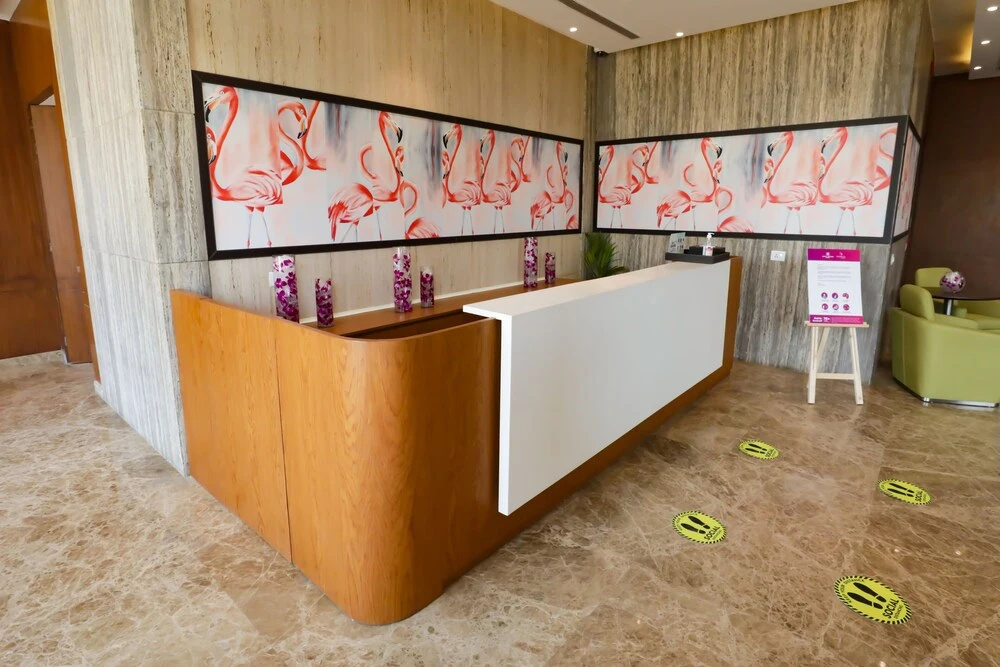 Lobby & Reception