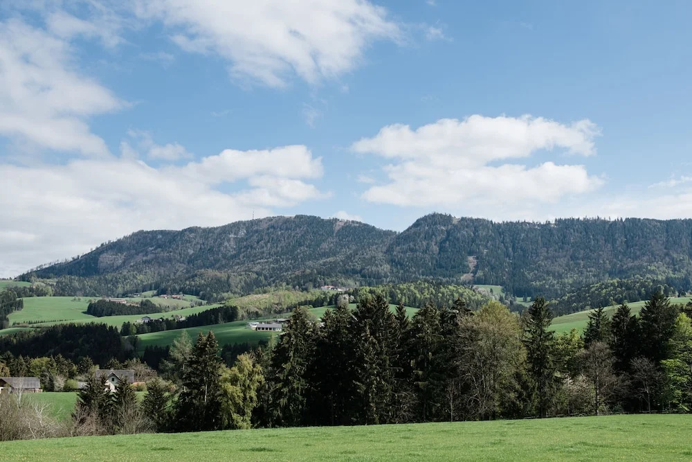 Standard Single room with mountain view
