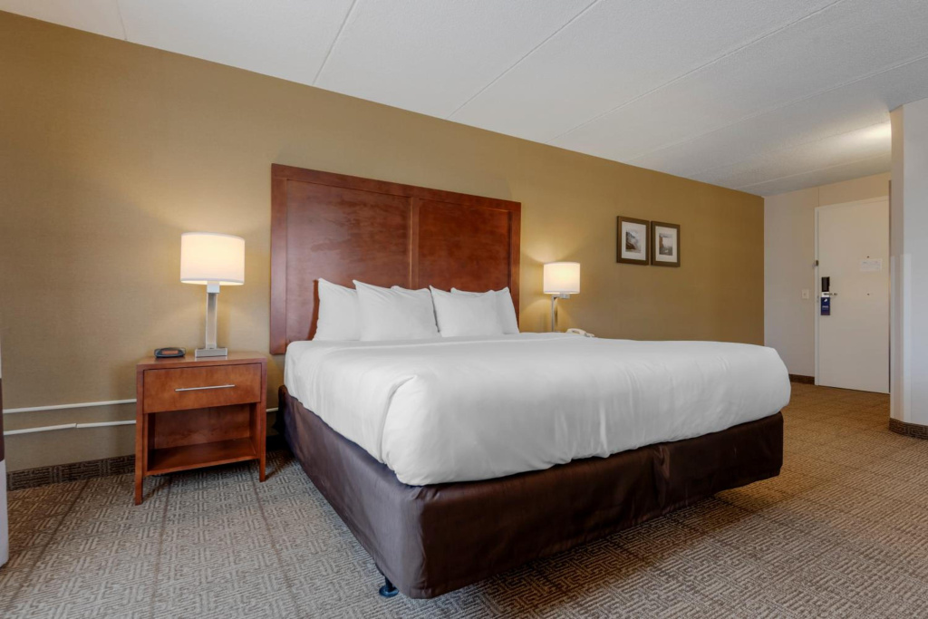 Comfort Inn The Pointe - Général
