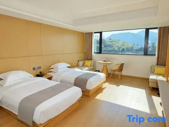 Standard Double room with mountain view (twin beds)