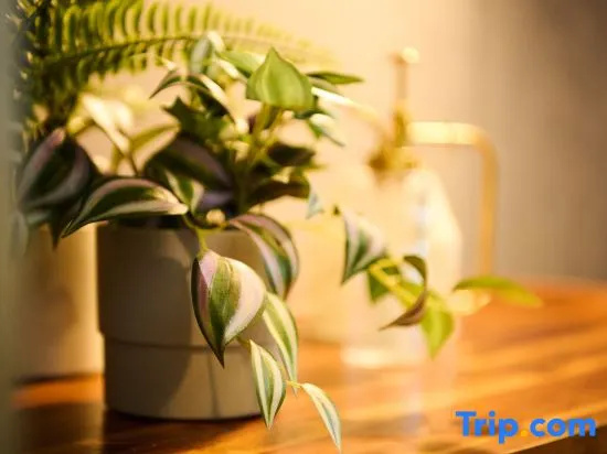 Residence Hotel Stripe Sapporo 사진 41