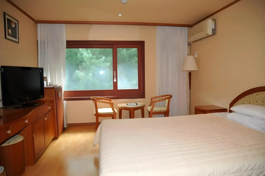 Chungju Suanbo Park Hotel - Général
