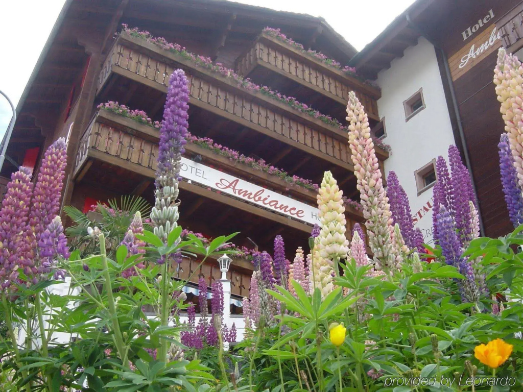 Hotel Ambiance