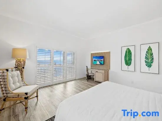 Standard Double room with view (full double bed)