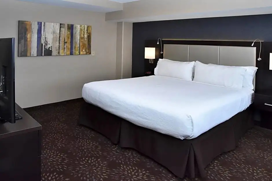 Holiday Inn Canton (Belden Village) by IHG - Chambres